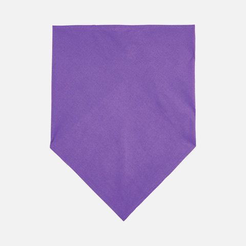 Шейный платок Bandana, фото 2