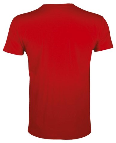Футболка мужская Regent Fit 150, фото 2